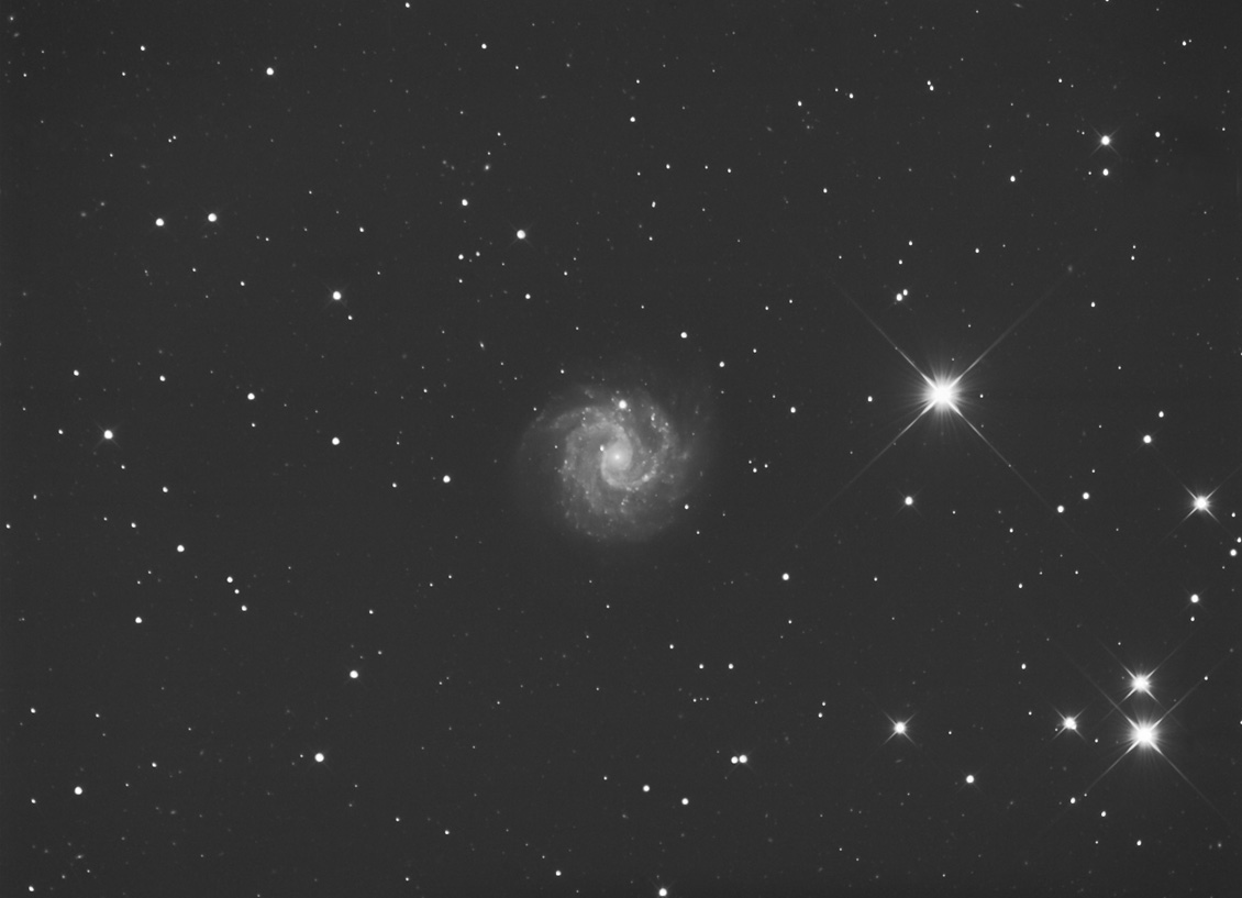 NGC 3184SW