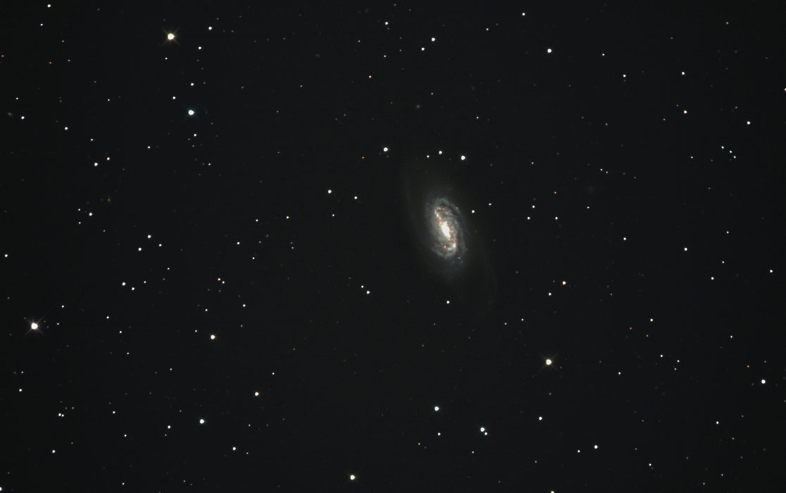 NGC290302